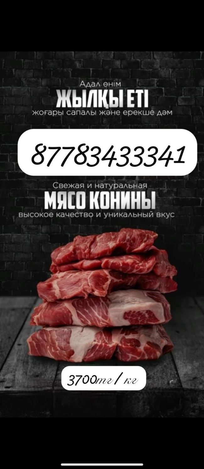 Лошадь, 2 года