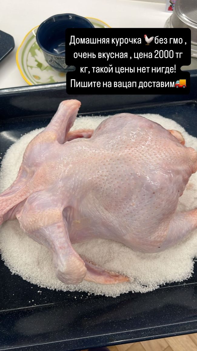 Курица
