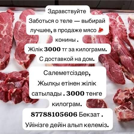 Лошадь, 1 год 9 месяцев