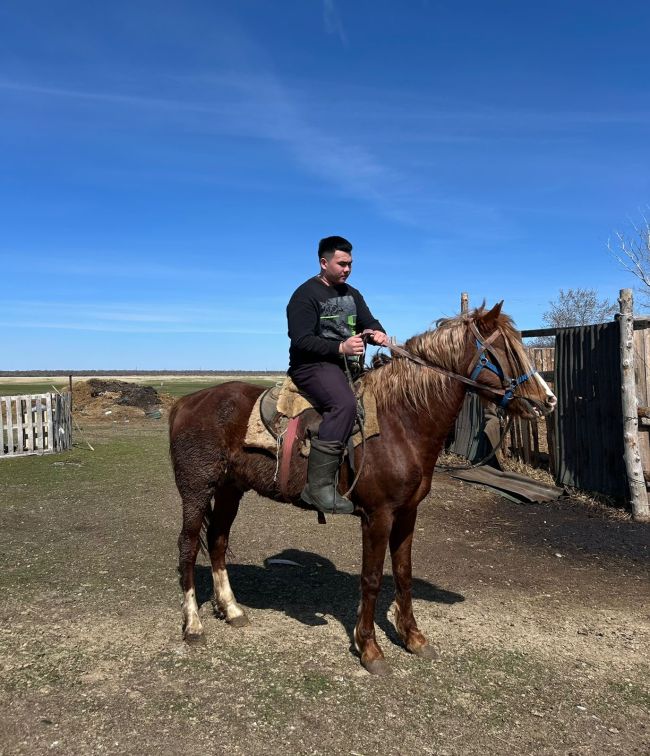Лошадь, 5 лет 2 месяца